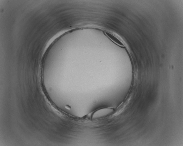 X0000081421149200702092127