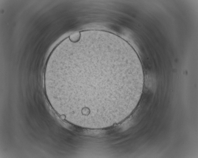 X0000081421150200702092127