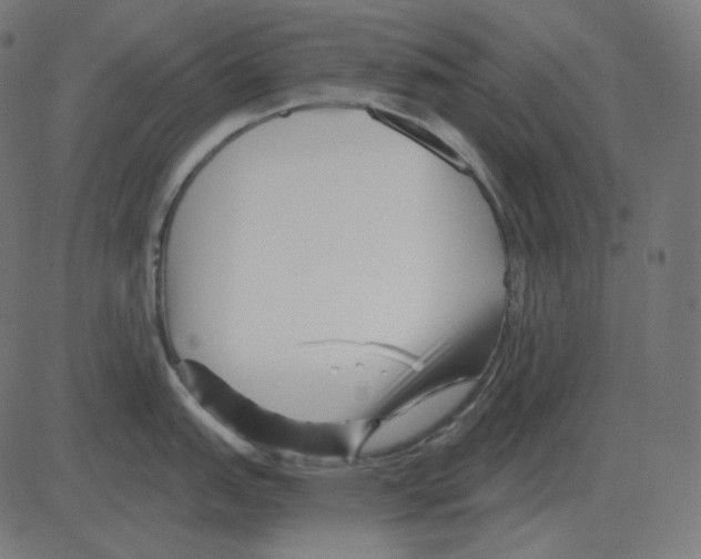 X0000081421151200702092127