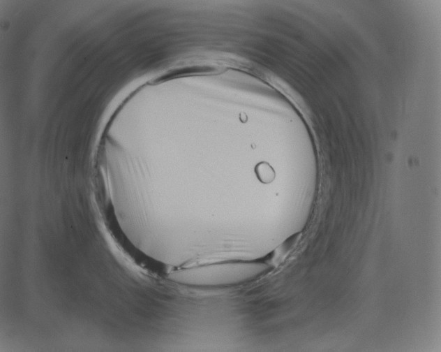 X0000081421152200702092127