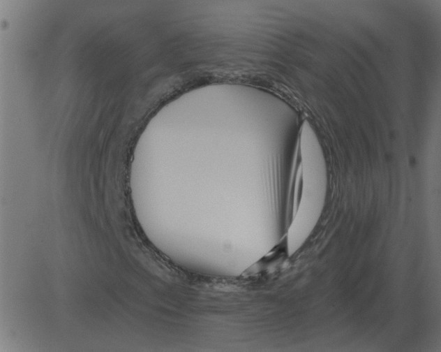 X0000081421153200702092127