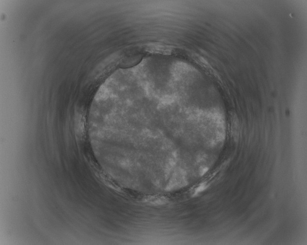 X0000081421154200702092127