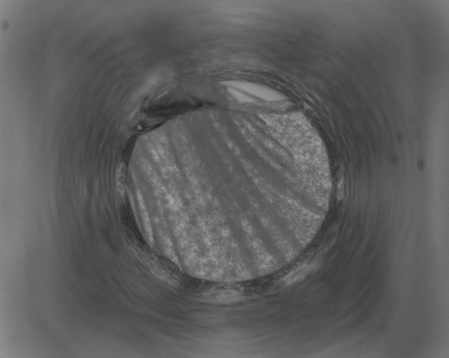 X0000081421156200702092126