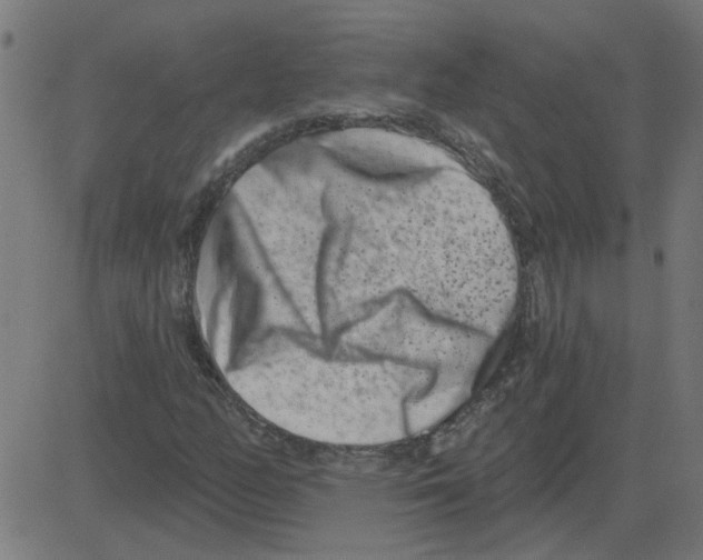 X0000081421158200702092126