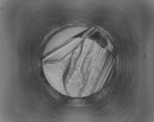 X0000081421160200702092126