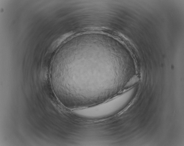 X0000081421161200702092126