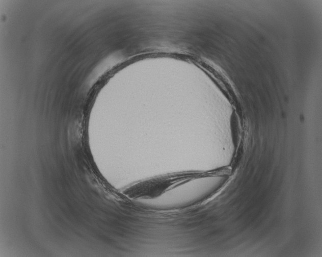 X0000081421163200702092126