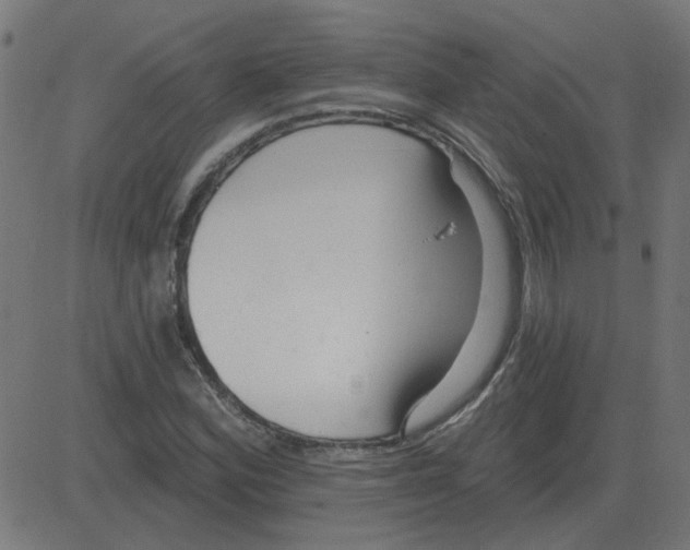 X0000081421164200702092126