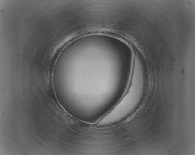 X0000081421165200702092126