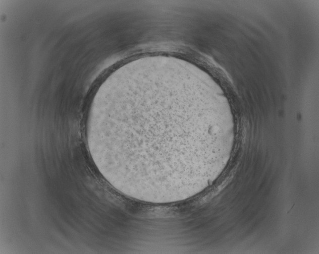 X0000081421166200702092126