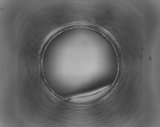 X0000081421168200702092126