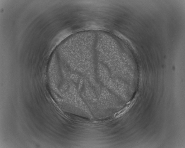 X0000081421170200702092126