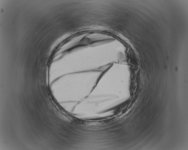 X0000081421171200702092126