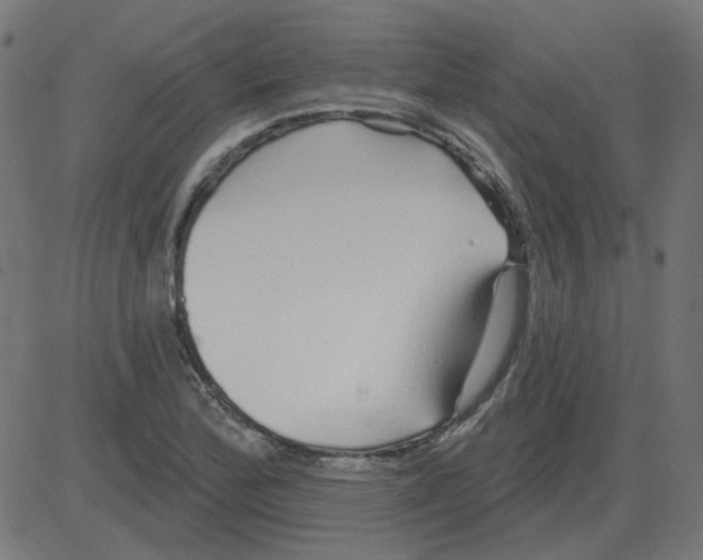 X0000081421172200702092126