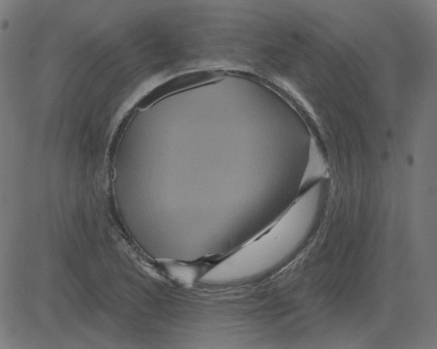 X0000081421173200702092126