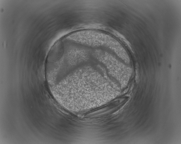 X0000081421174200702092126