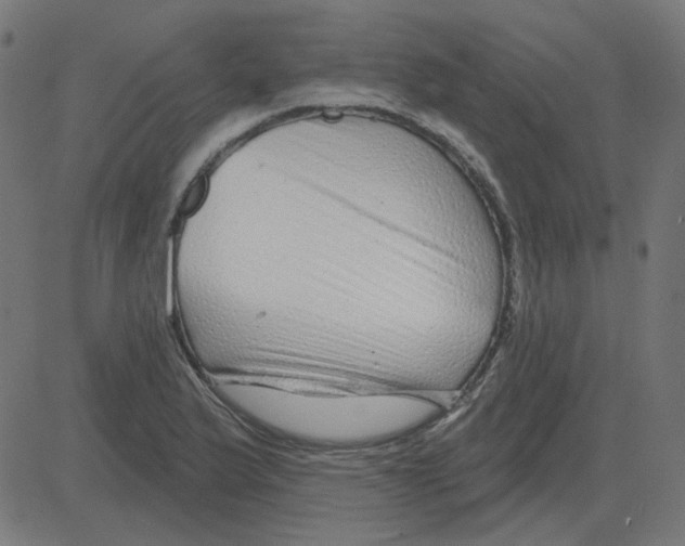 X0000081421175200702092126