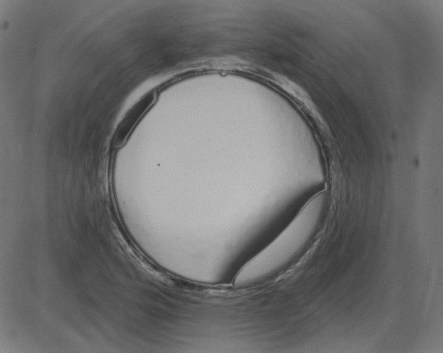 X0000081421176200702092126