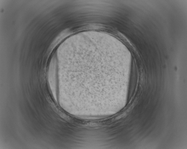 X0000081421178200702092126