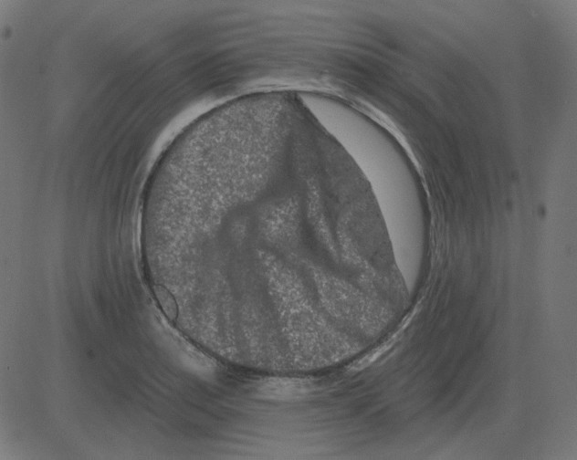 X0000081421179200702092126