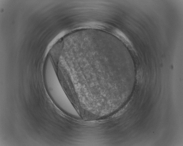 X0000081421180200702092126