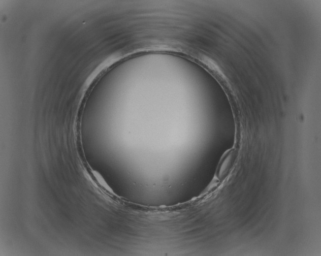 X0000081421181200702092126