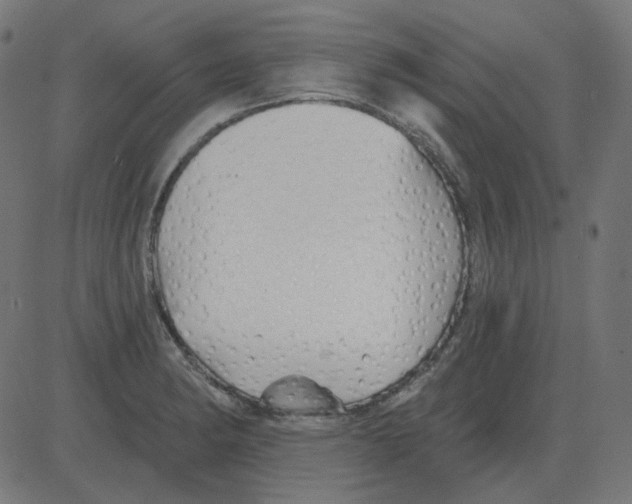 X0000081421182200702092126