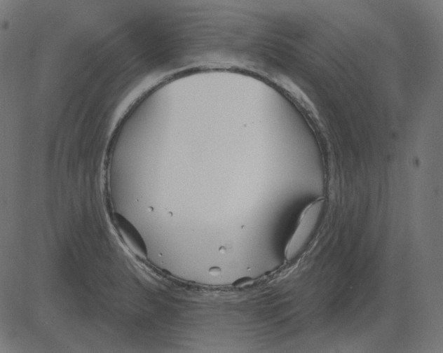 X0000081421183200702092126