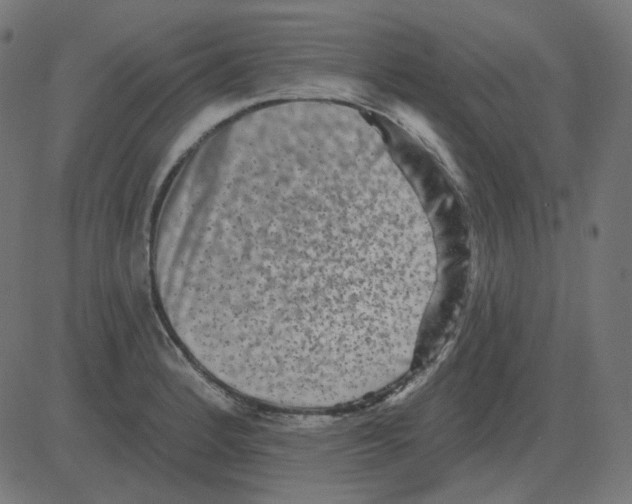 X0000081421184200702092126