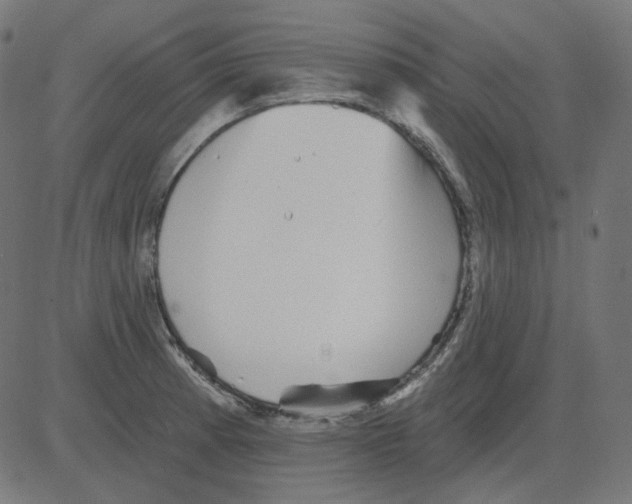 X0000081421185200702092126