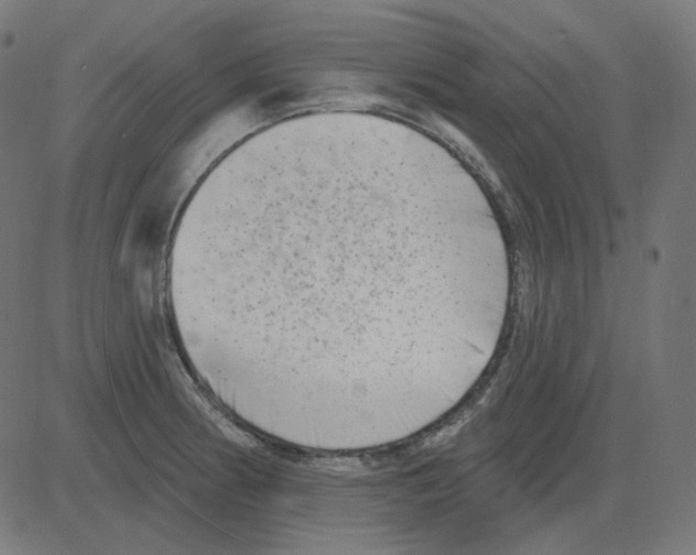 X0000081421186200702092126