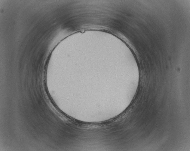 X0000081421187200702092126