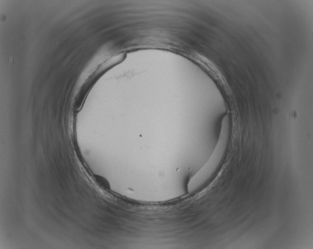 X0000081421188200702092126