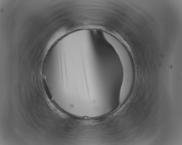 X0000081421189200702092126