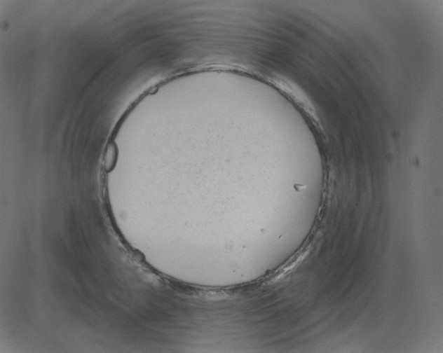 X0000081421190200702092126