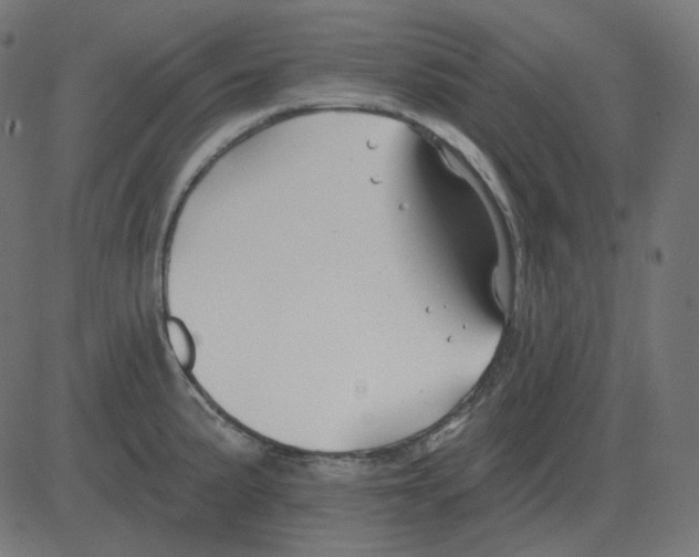 X0000081421191200702092126