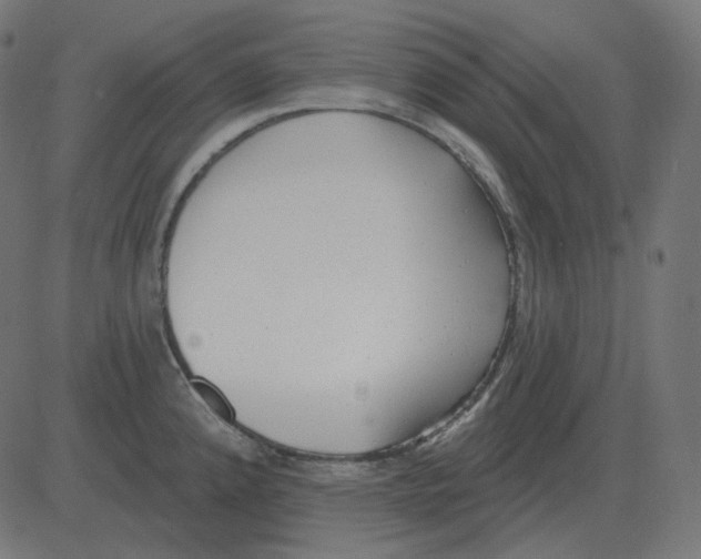 X0000081421192200702092126