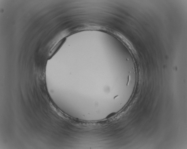 X0000081421193200702092126