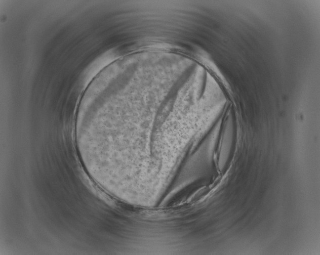 X0000081421194200702092126