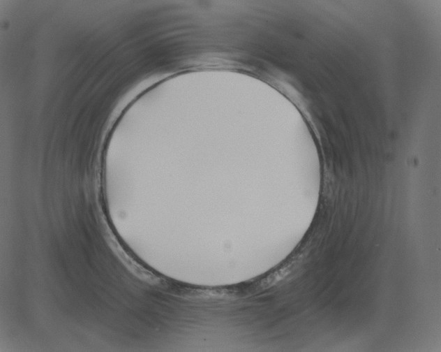 X0000081421195200702092126