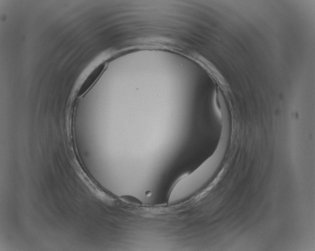 X0000081421196200702092126