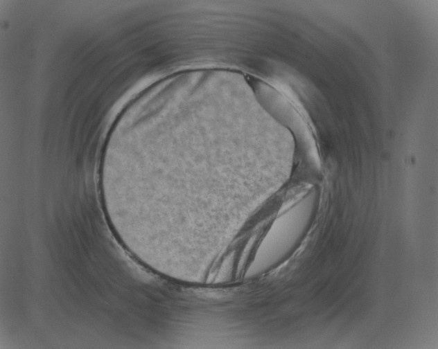 X0000081421197200702092126