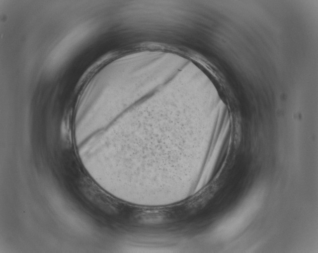 X0000081421198200702092126