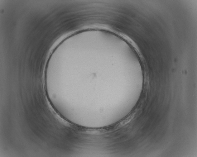 X0000081421199200702092126