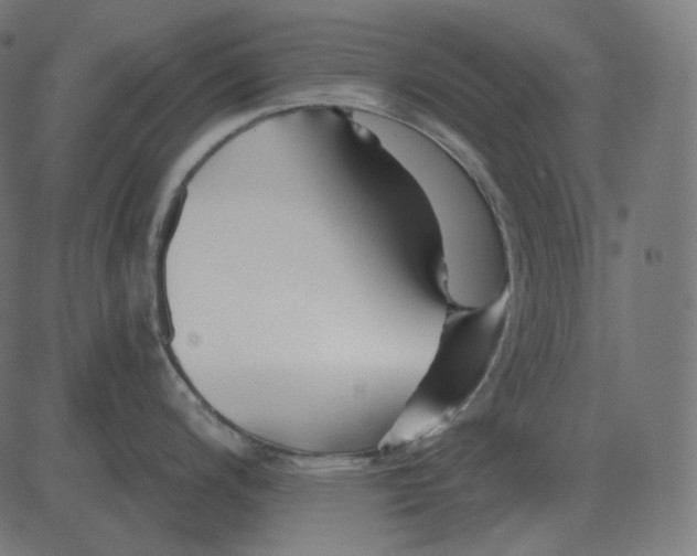 X0000081421200200702092126