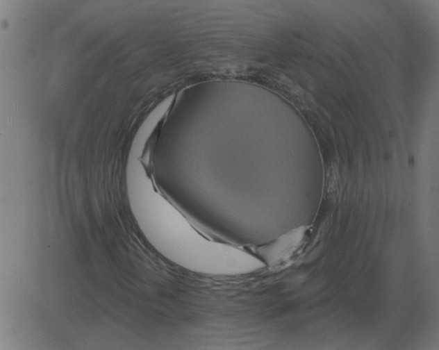 X0000081421202200702092125