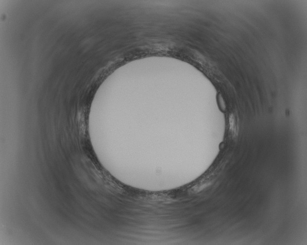 X0000081421203200702092125