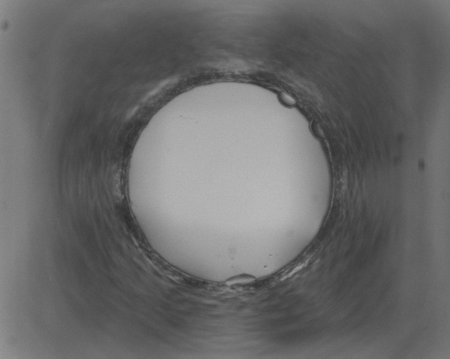 X0000081421205200702092125