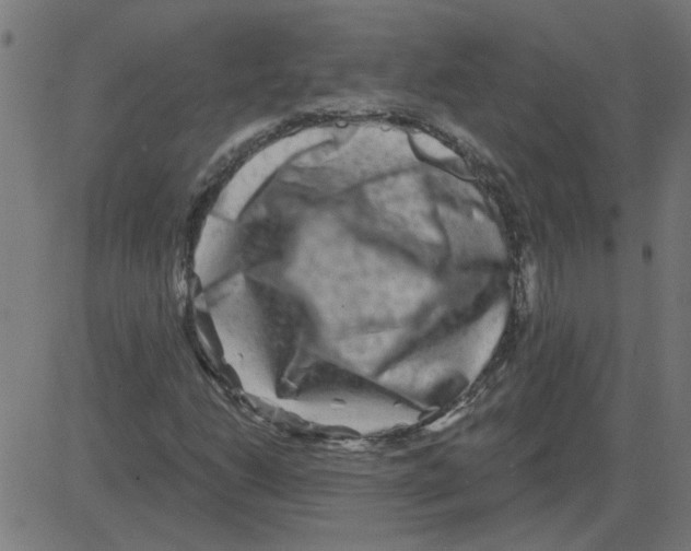 X0000081421206200702092125