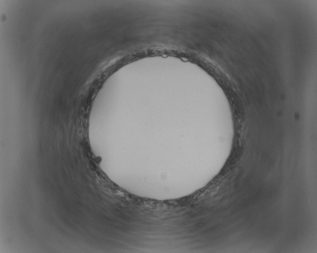 X0000081421207200702092125